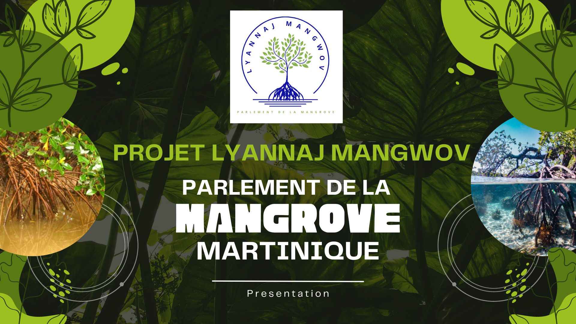 PRESENTATION LYANNAJ MANGWOV - Parlement de la Mangrove.jpg
