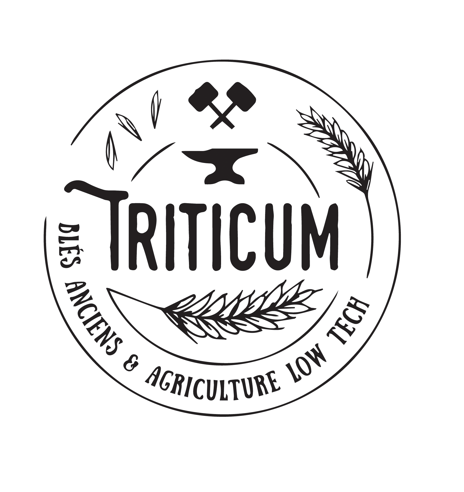 Logo Triticum.png
