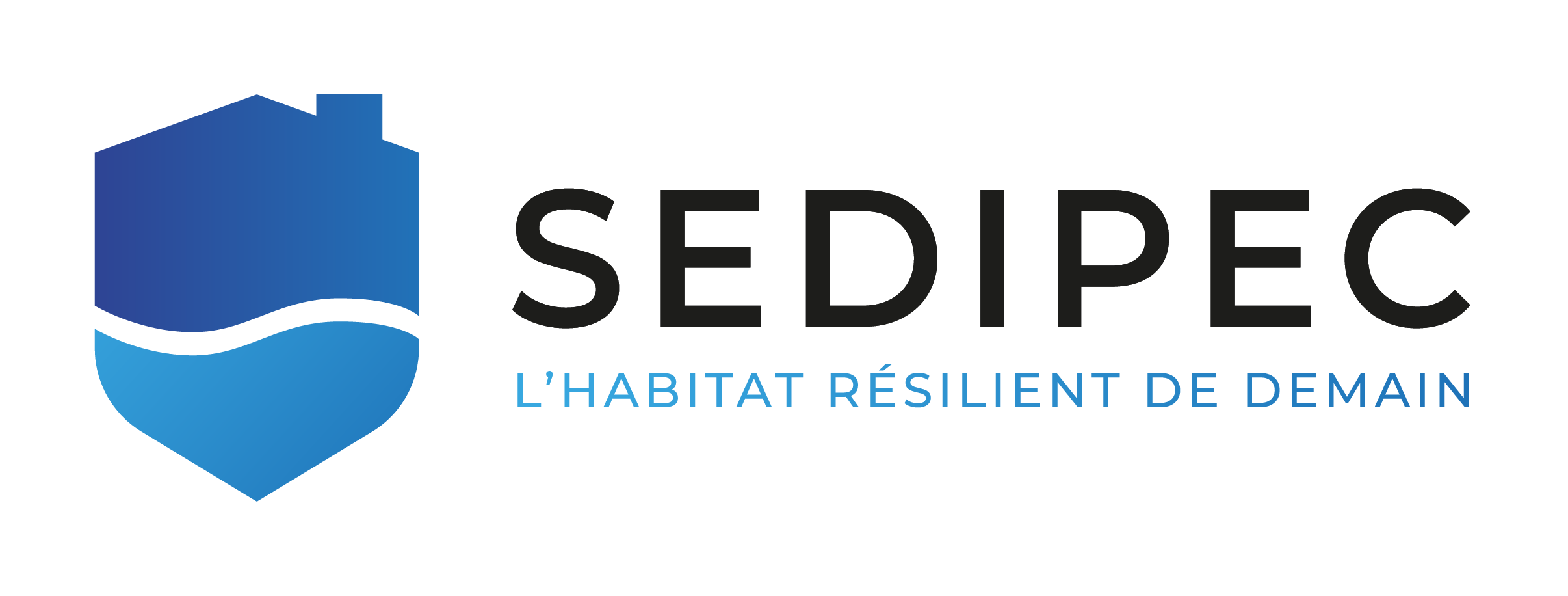 2019-SEDIPEC Logo FR.png