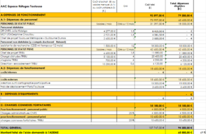Tableau récapitulatif du budget et du financement du projet.png